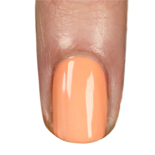 Are You Sherbet? - Image 2