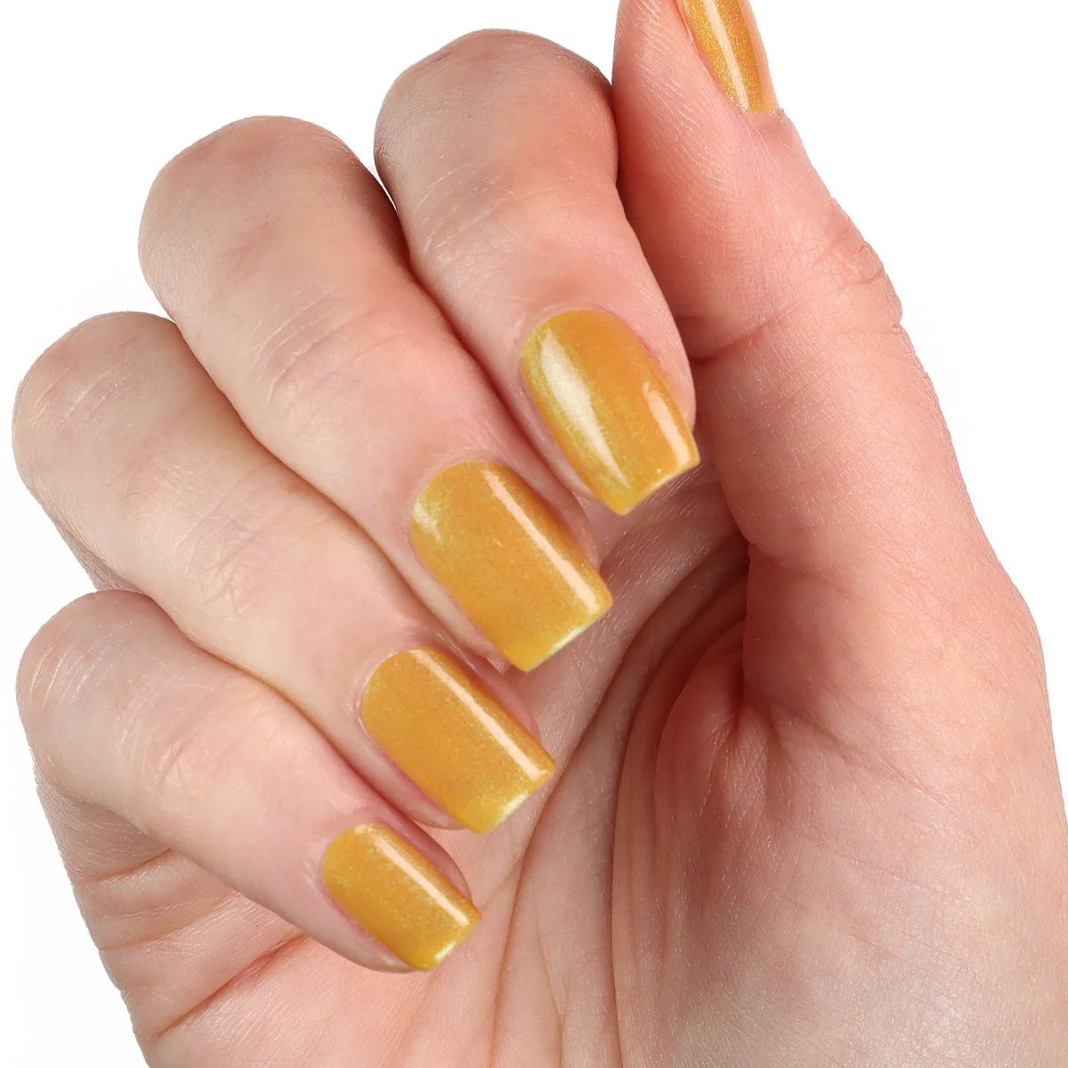 Gilded Dune - Image 3