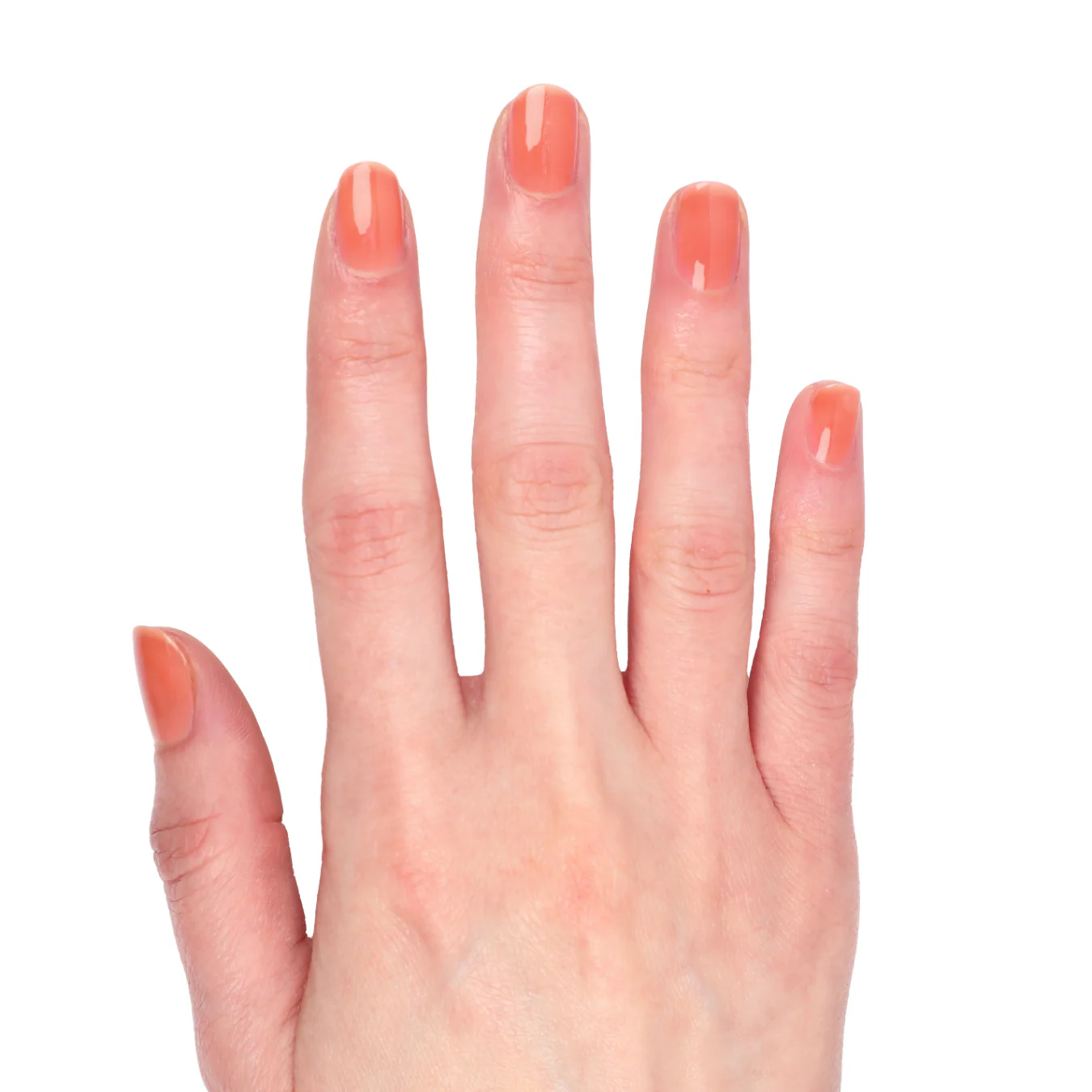No Coral-ation - Image 3