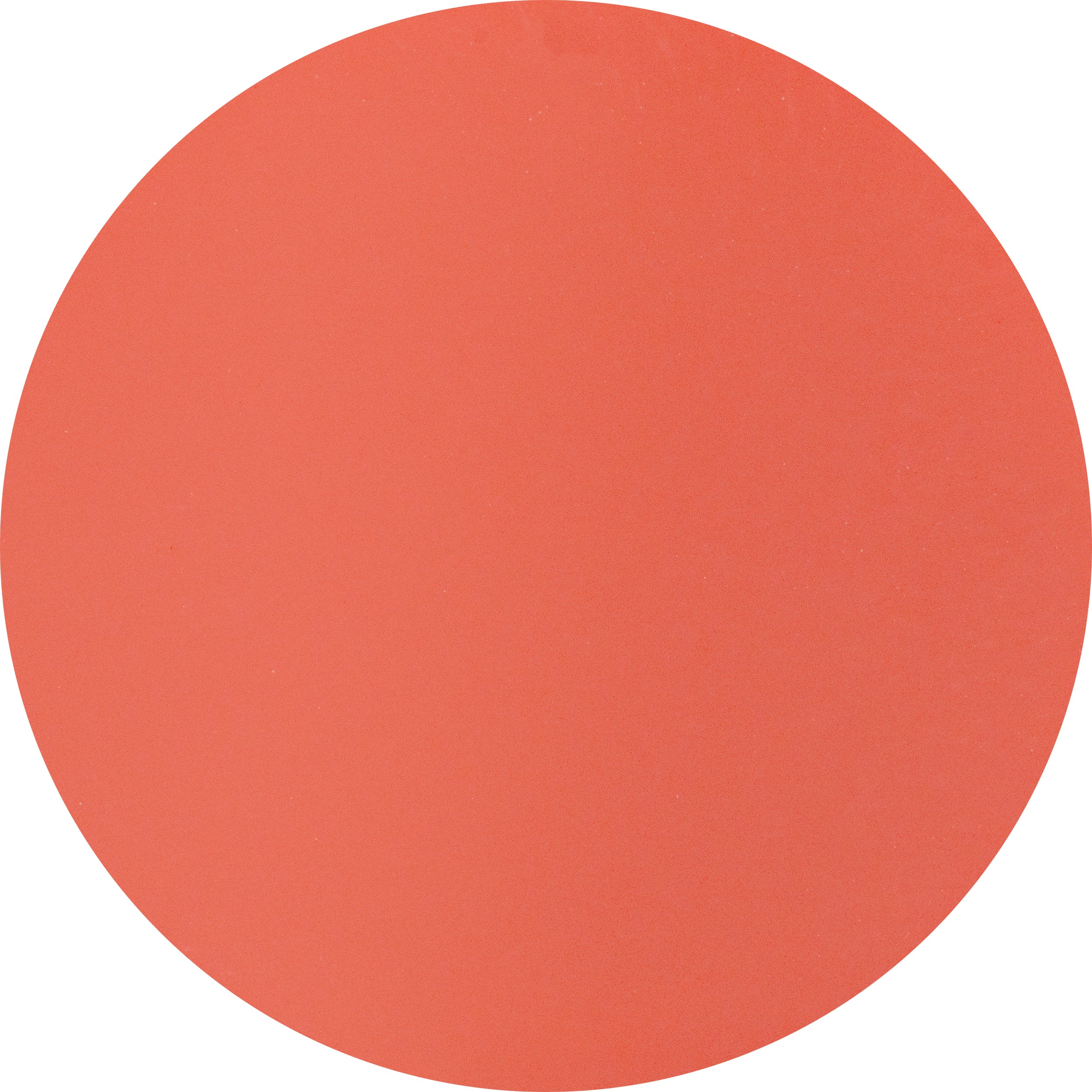 No Coral-ation - Image 6