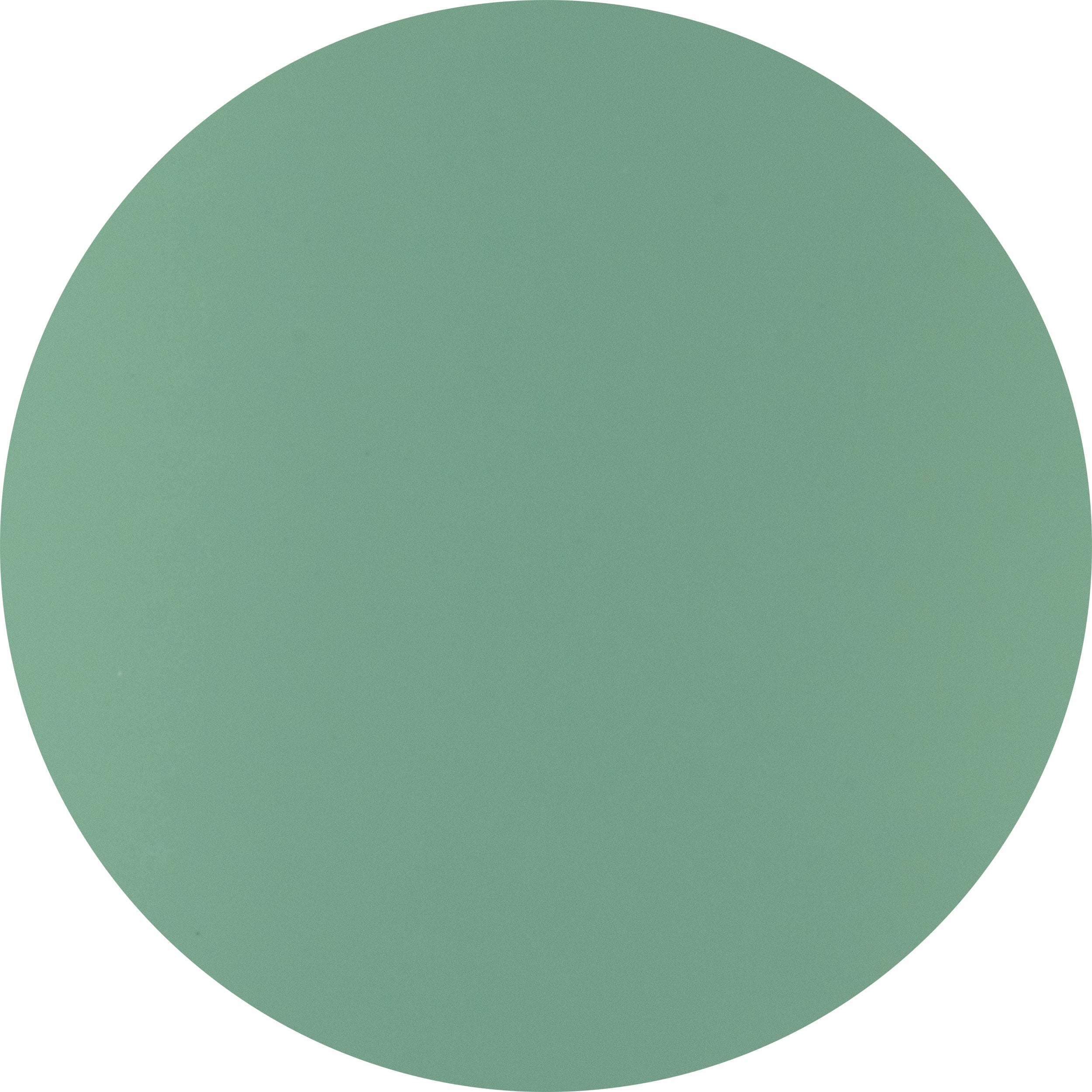 Sea Me Now - Image 6