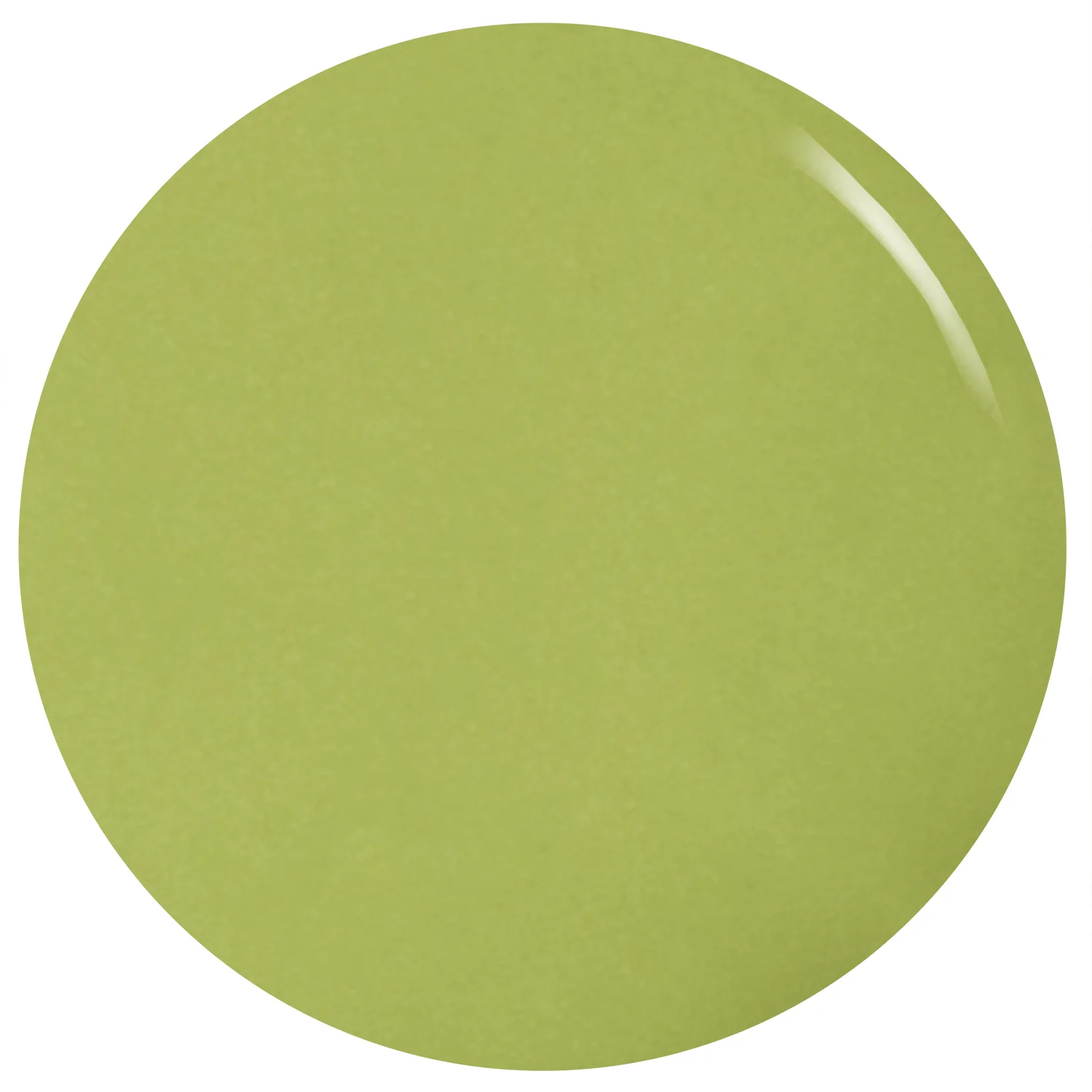 Simply the Zest - Image 4