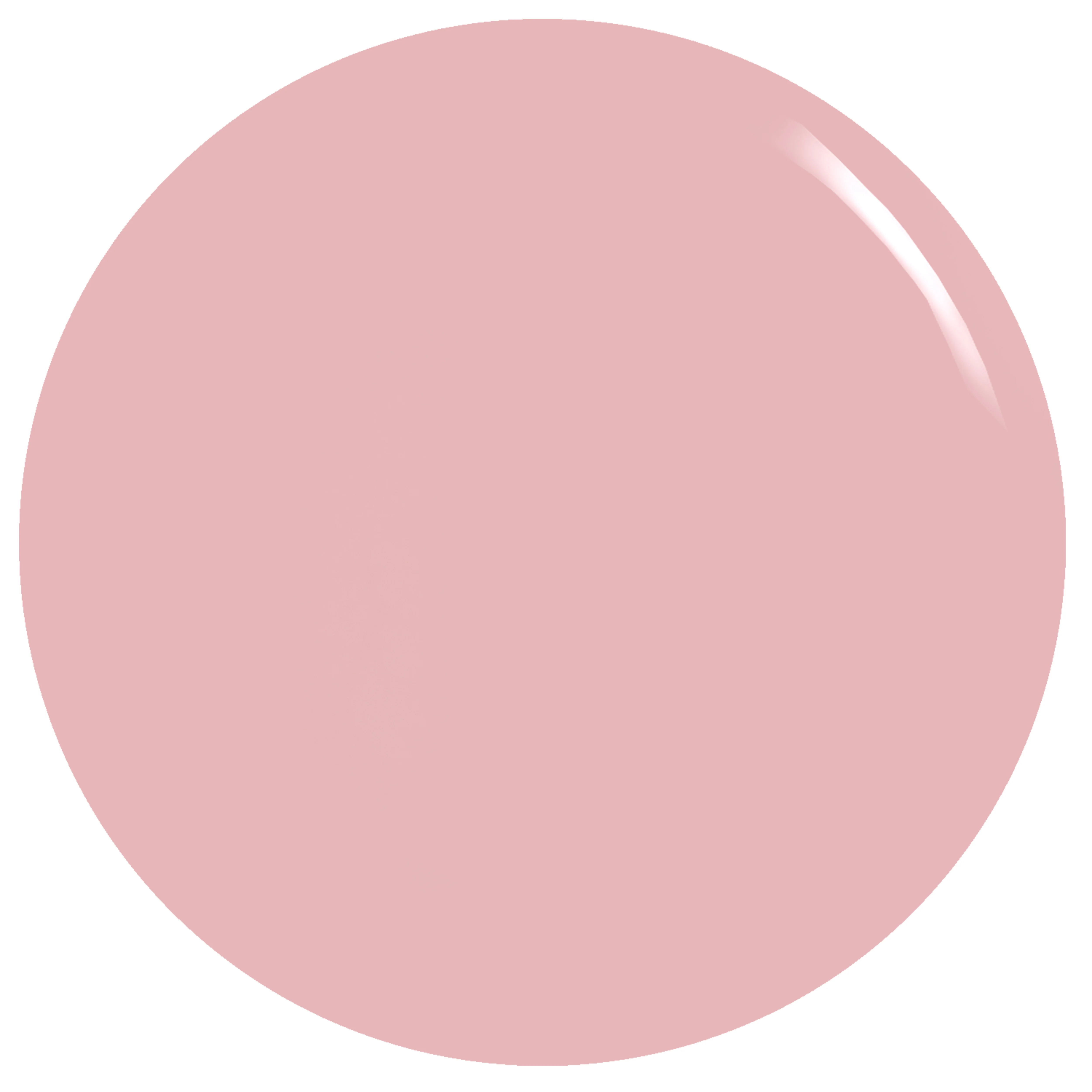 Snow Bunny - Gel Nail Color - Image 3
