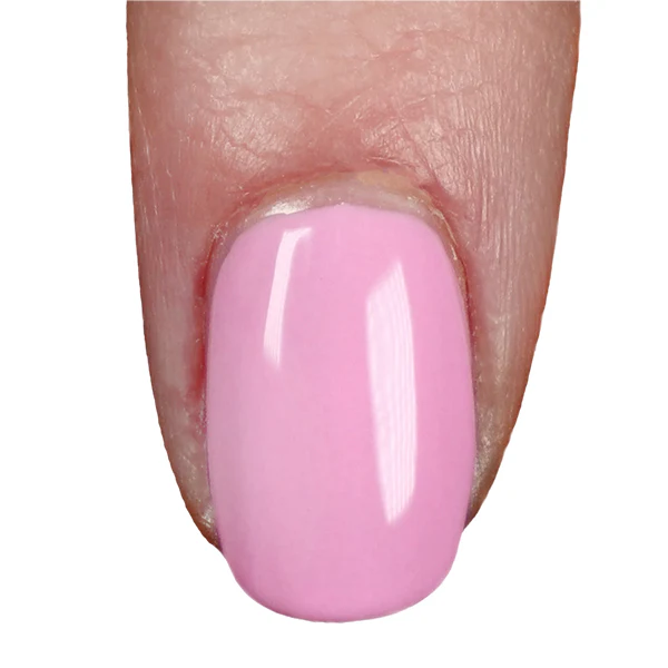Taffy To Be Here - Image 2