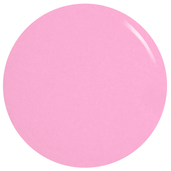Taffy To Be Here - Image 4
